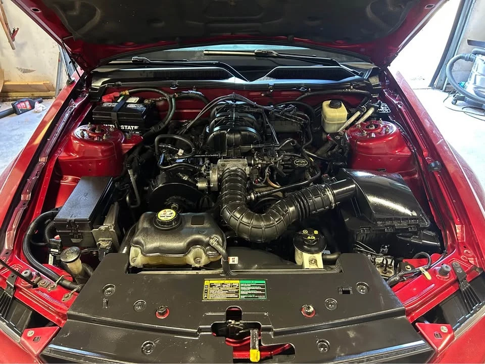 2005 Ford S197 Mustang - Image 16 of 16