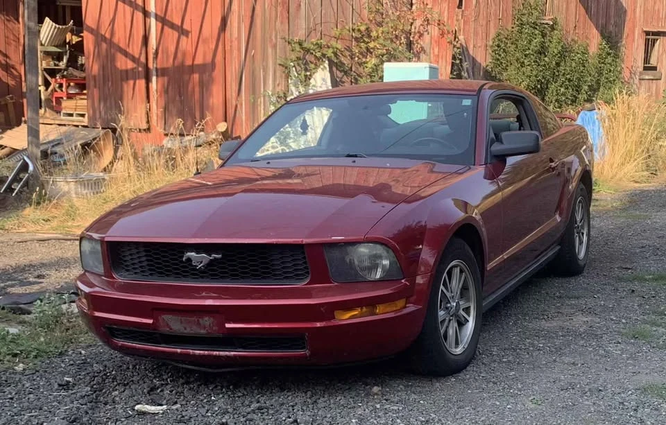 2005 Ford S197 Mustang - Image 4 of 10