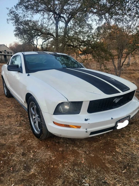 2005 Ford S197 Mustang - Image 3 of 8