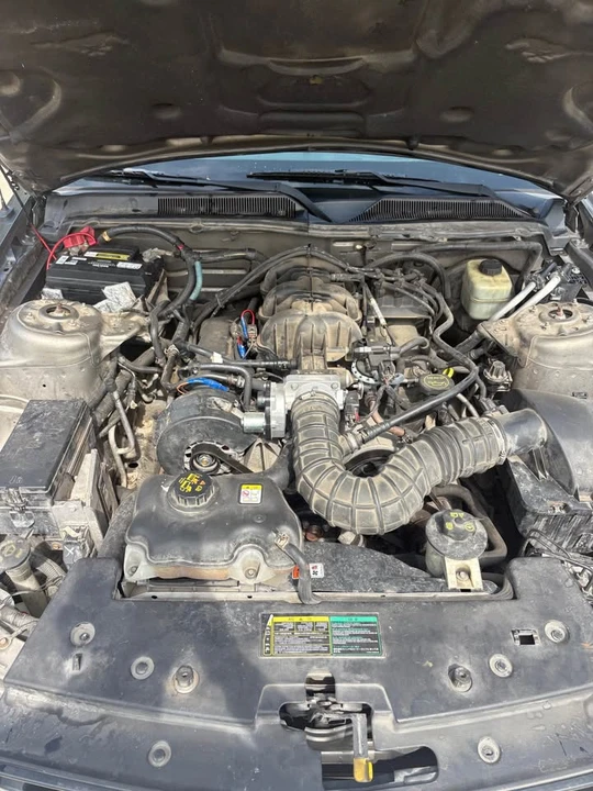 2005 Ford S197 Mustang - Image 14 of 15