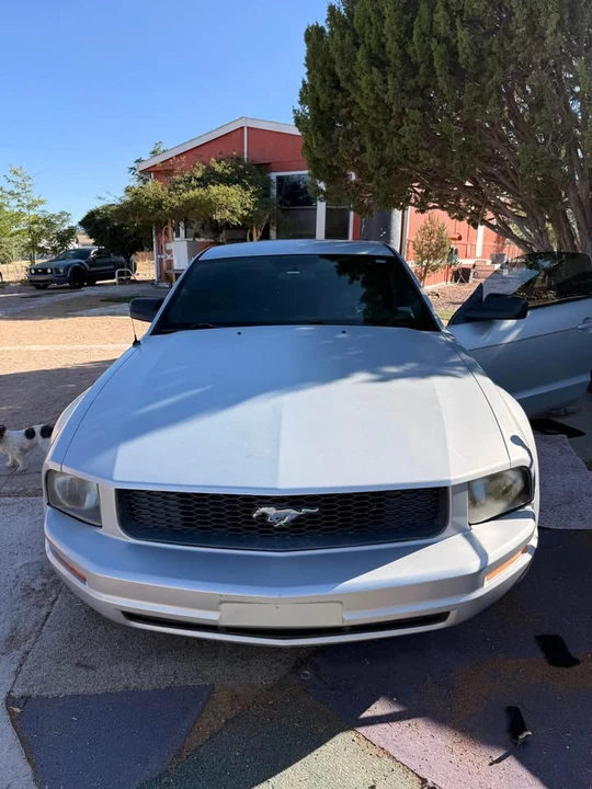 2005 Ford S197 Mustang - Image 7 of 8