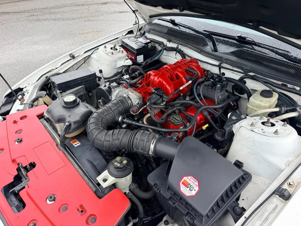 2005 Ford S197 Mustang - Image 16 of 20