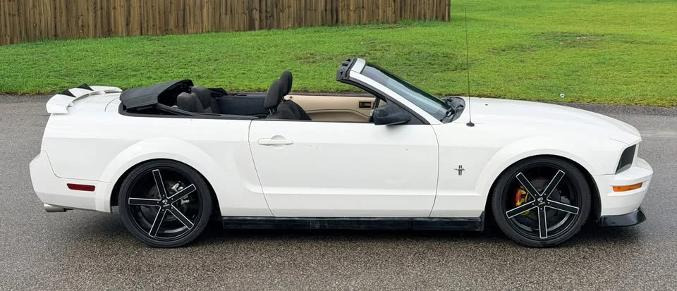 2005 Ford S197 Mustang - Image 8 of 20