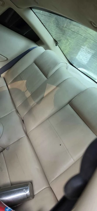 2005 Ford S197 Mustang - Image 12 of 14