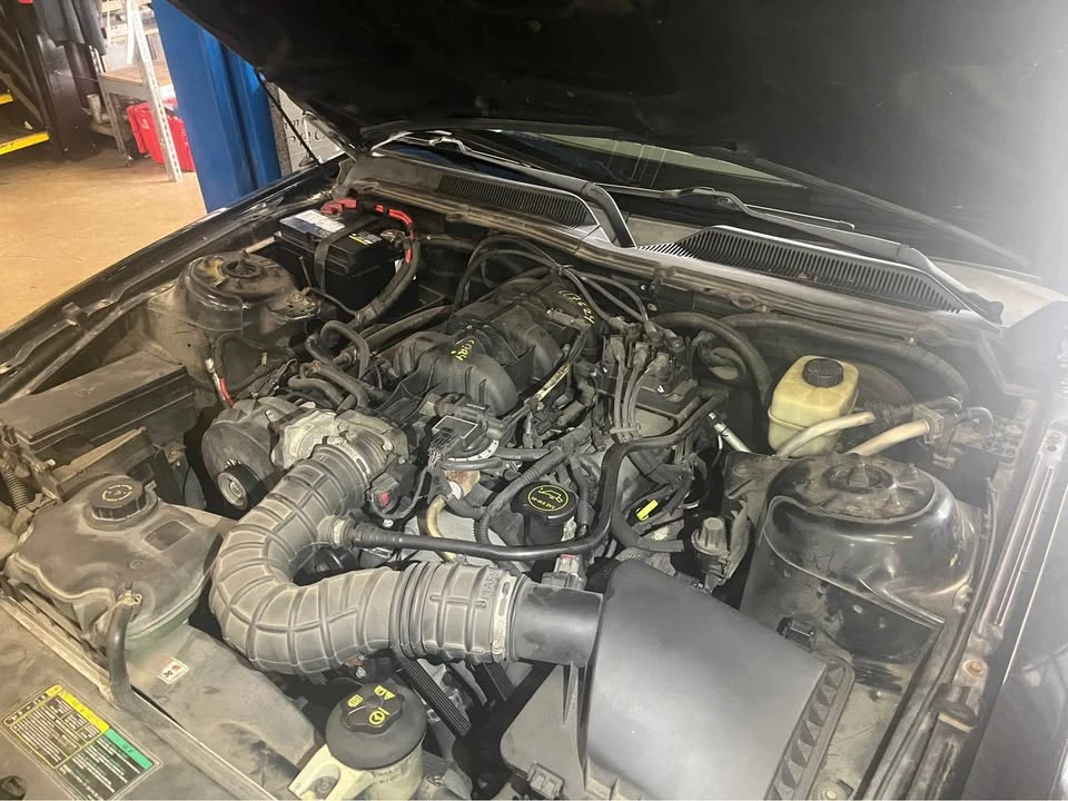 2005 Ford S197 Mustang - Image 14 of 15