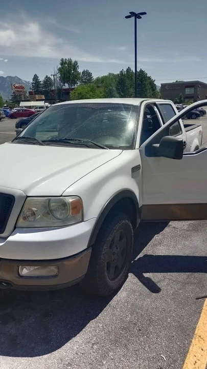 2005 Ford F-150 11th Gen - Image 3 of 12
