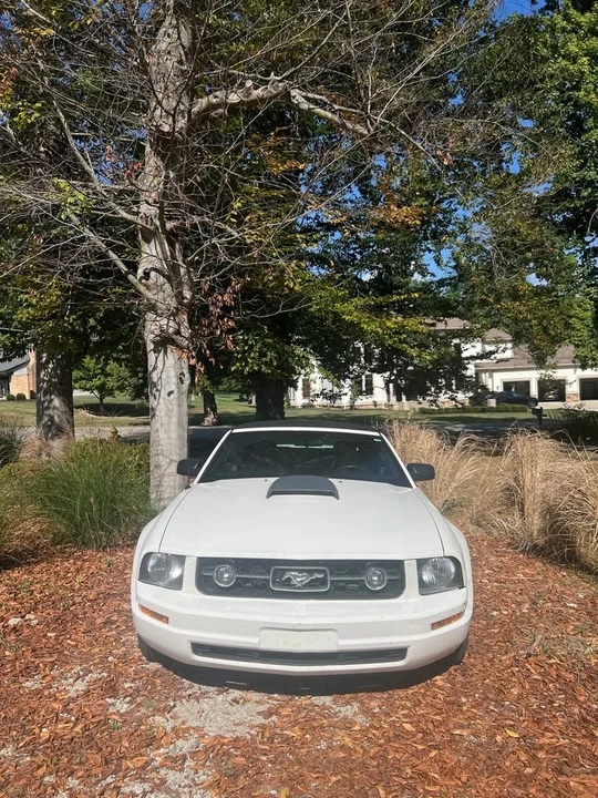 2005 Ford S197 Mustang - Image 3 of 11
