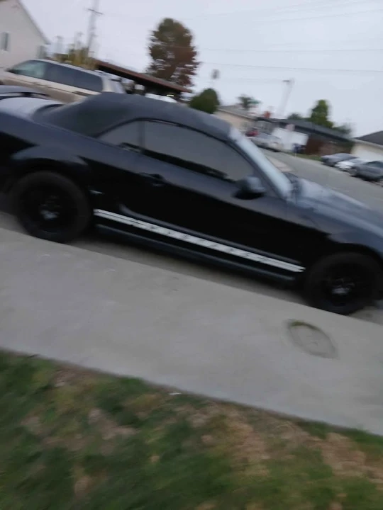 2005 Ford S197 Mustang - Image 4 of 4
