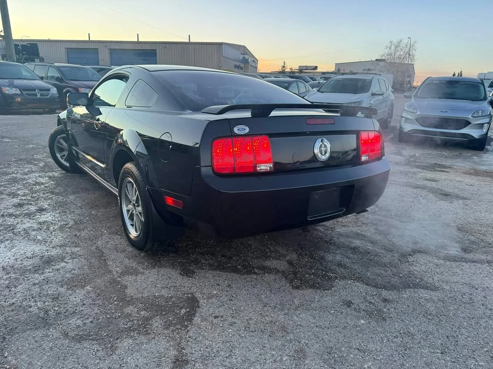 2005 Ford S197 Mustang - Image 5 of 16