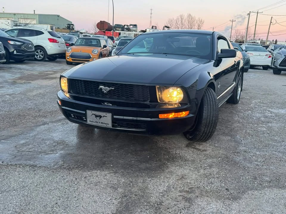 2005 Ford S197 Mustang - Image 15 of 16
