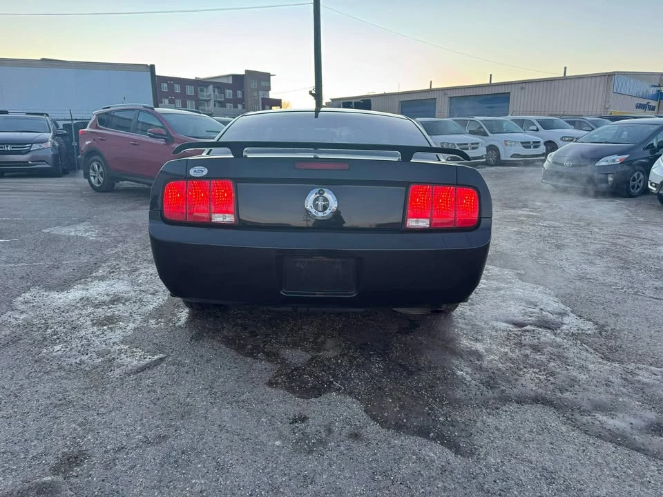 2005 Ford S197 Mustang - Image 4 of 16
