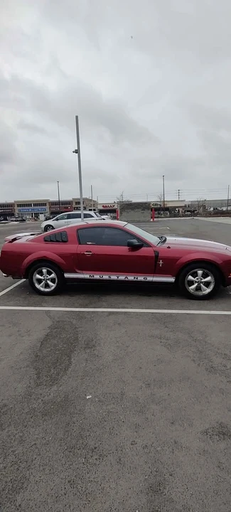 2005 Ford S197 Mustang - Image 6 of 11