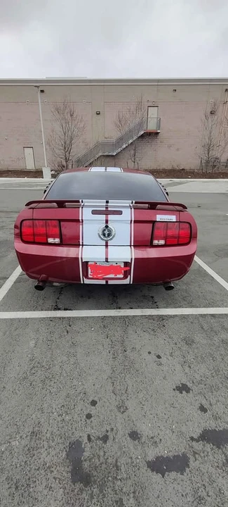 2005 Ford S197 Mustang - Image 4 of 11