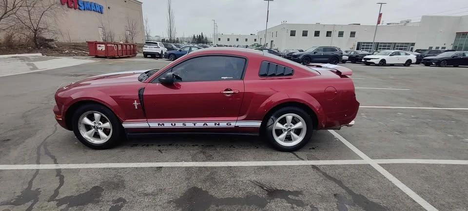 2005 Ford S197 Mustang - Image 5 of 11