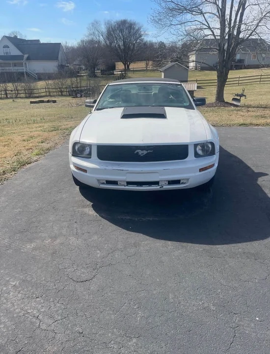 2005 Ford S197 Mustang - Image 2 of 7