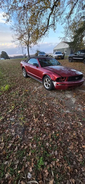 2005 Ford S197 Mustang - Image 2 of 4