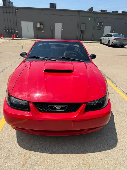 2005 Ford S197 Mustang - Image 3 of 19