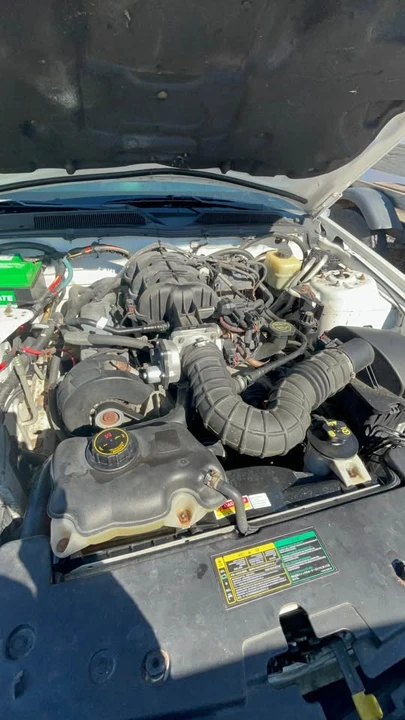 2005 Ford S197 Mustang - Image 13 of 14