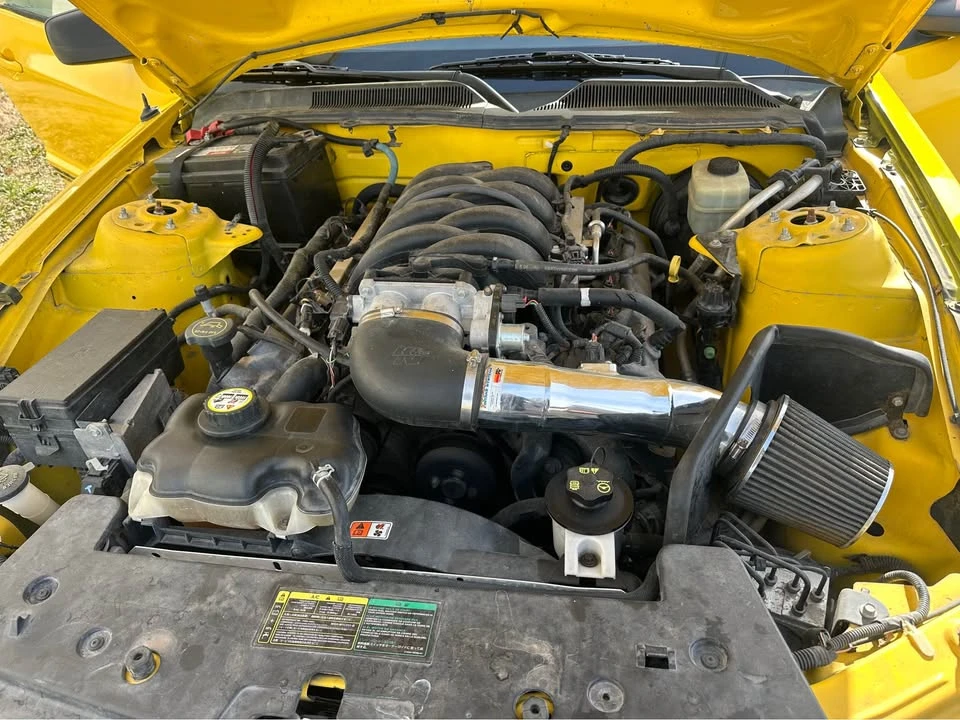 2005 Ford S197 Mustang - Image 13 of 14