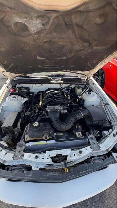 2005 Ford S197 Mustang - Image 11 of 14