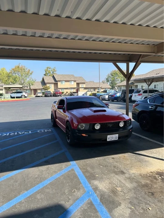 2005 Ford S197 Mustang - Image 3 of 5
