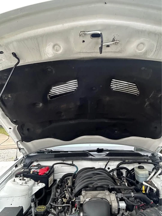 2005 Ford S197 Mustang - Image 8 of 20