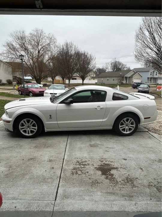 2005 Ford S197 Mustang - Image 5 of 20