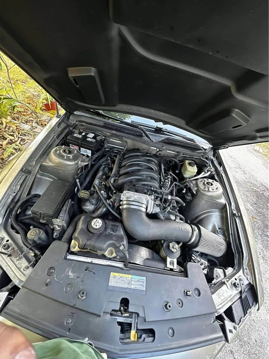 2005 Ford S197 Mustang - Image 14 of 16