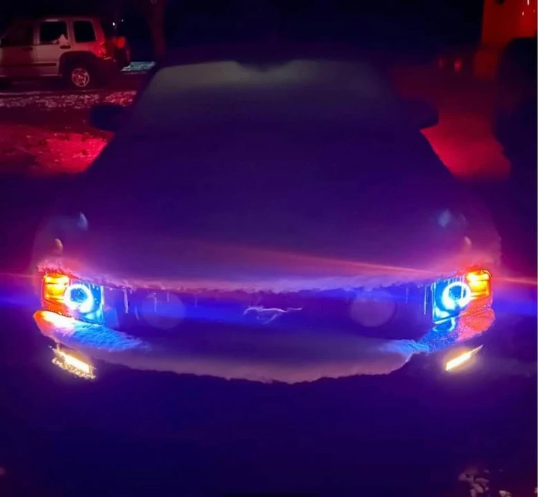 2005 Ford S197 Mustang - Image 5 of 6