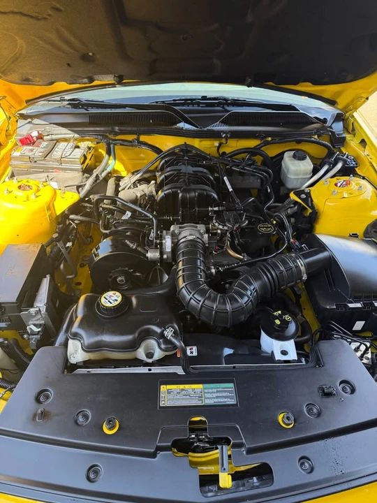 2005 Ford S197 Mustang - Image 17 of 17