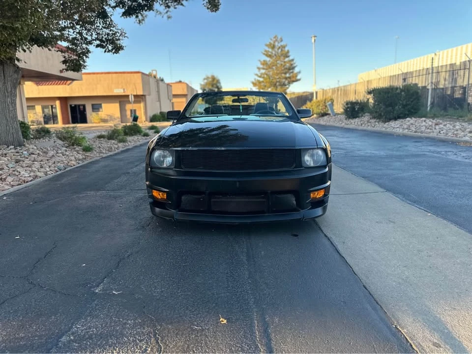2005 Ford S197 Mustang - Image 8 of 16