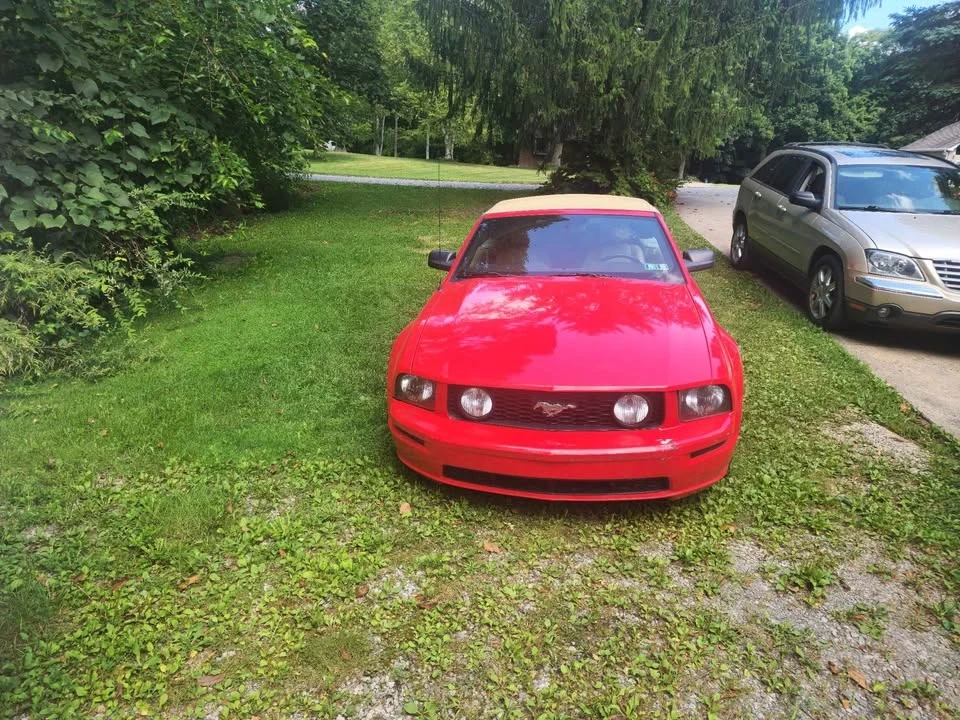 2005 Ford S197 Mustang - Image 8 of 11
