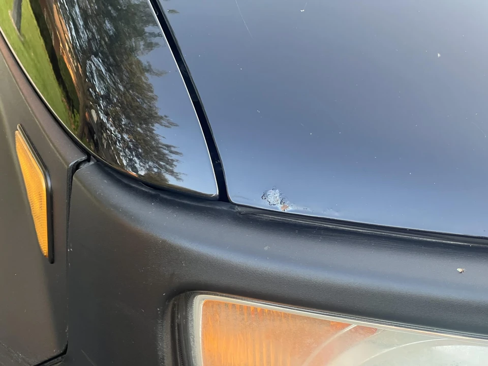 2005 Honda Element - Image 16 of 31