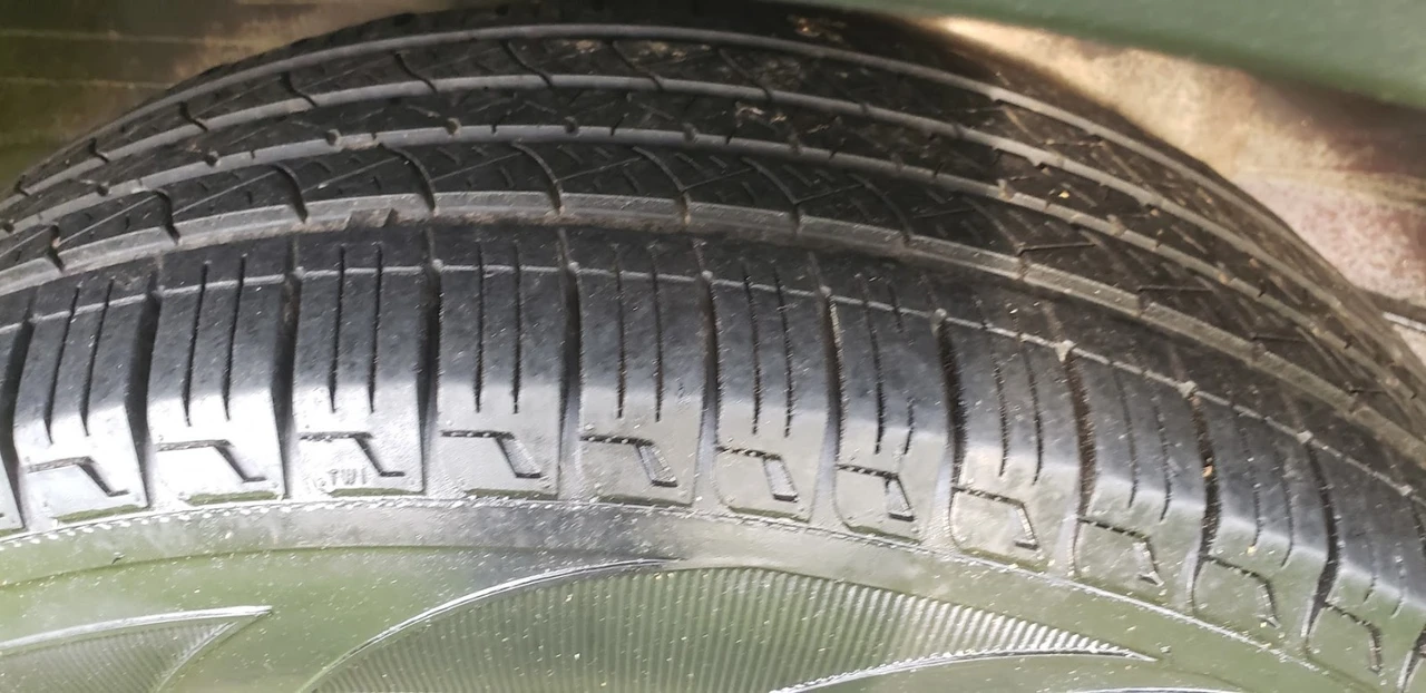 2005 Honda Element - Image 20 of 20