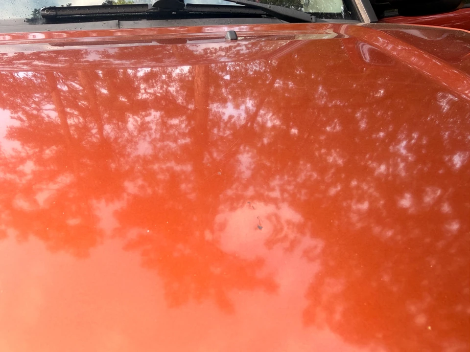 2005 Honda Element - Image 18 of 31