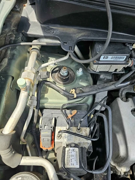 2005 Honda Element - Image 15 of 20