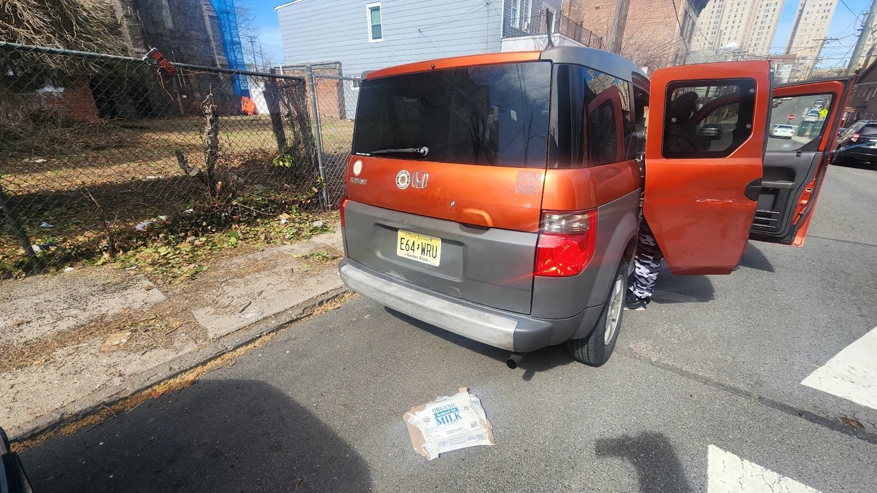 2005 Honda Element - Image 5 of 7