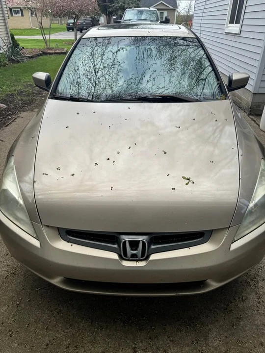 2005 Honda Accord 7th Gen - Image 2 of 8