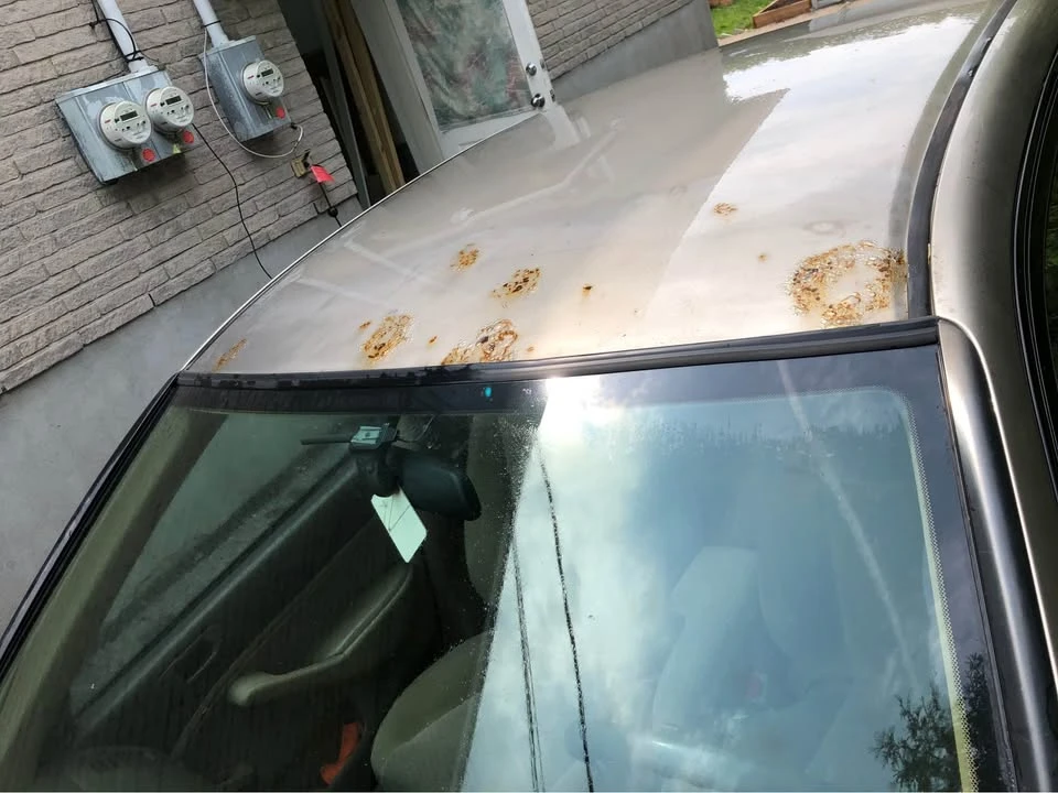 2005 Honda Civic 7th Gen - Image 6 of 7