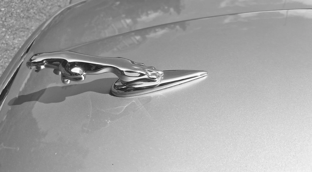 2005 Jaguar X350/X356/X358 XJ - Image 30 of 31