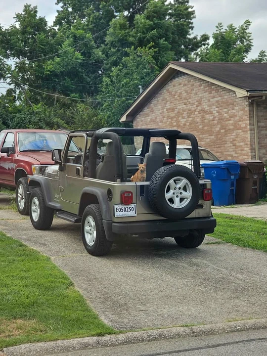 2005 Jeep TJ Wrangler - Image 2 of 2