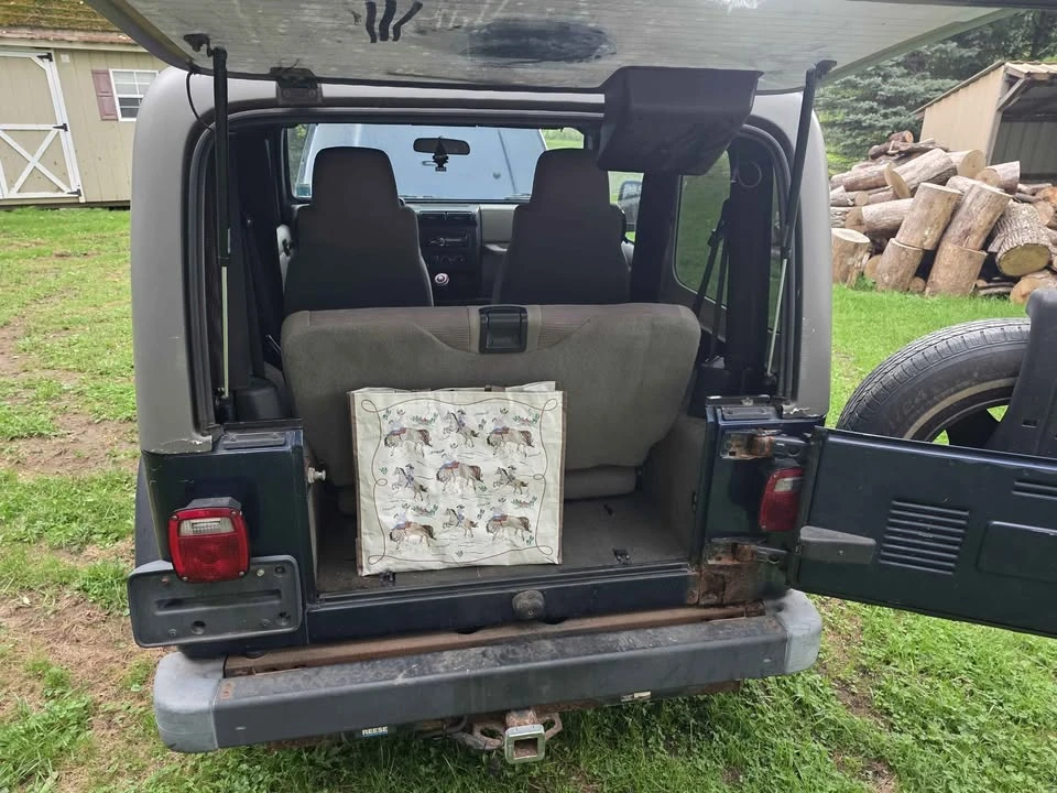 2005 Jeep TJ Wrangler - Image 6 of 10