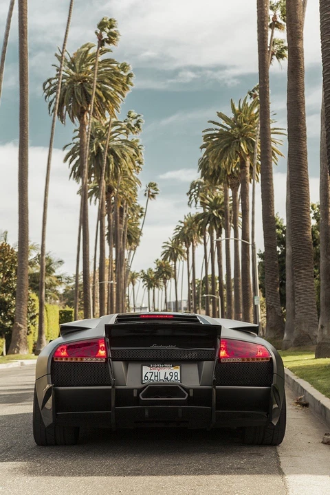 2005 Lamborghini Murcielago - Image 5 of 24