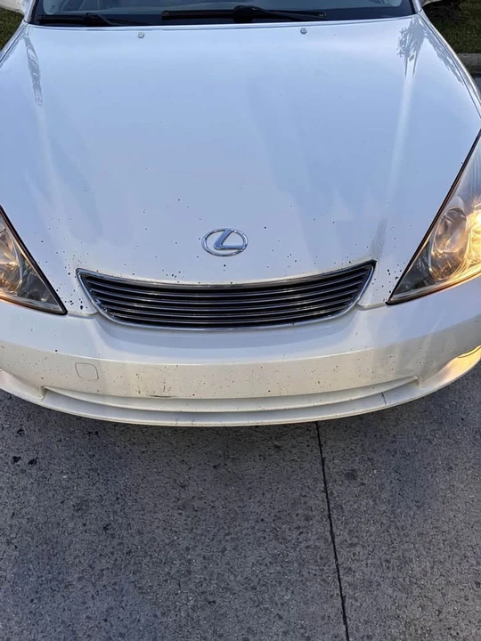 2005 Lexus ES 4th Gen - Image 2 of 7