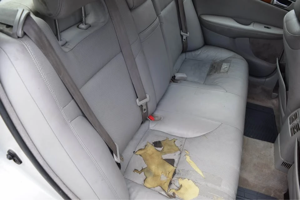 2005 Lexus ES 4th Gen - Image 8 of 17