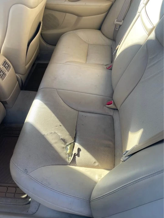 2005 Lexus ES 4th Gen - Image 9 of 10