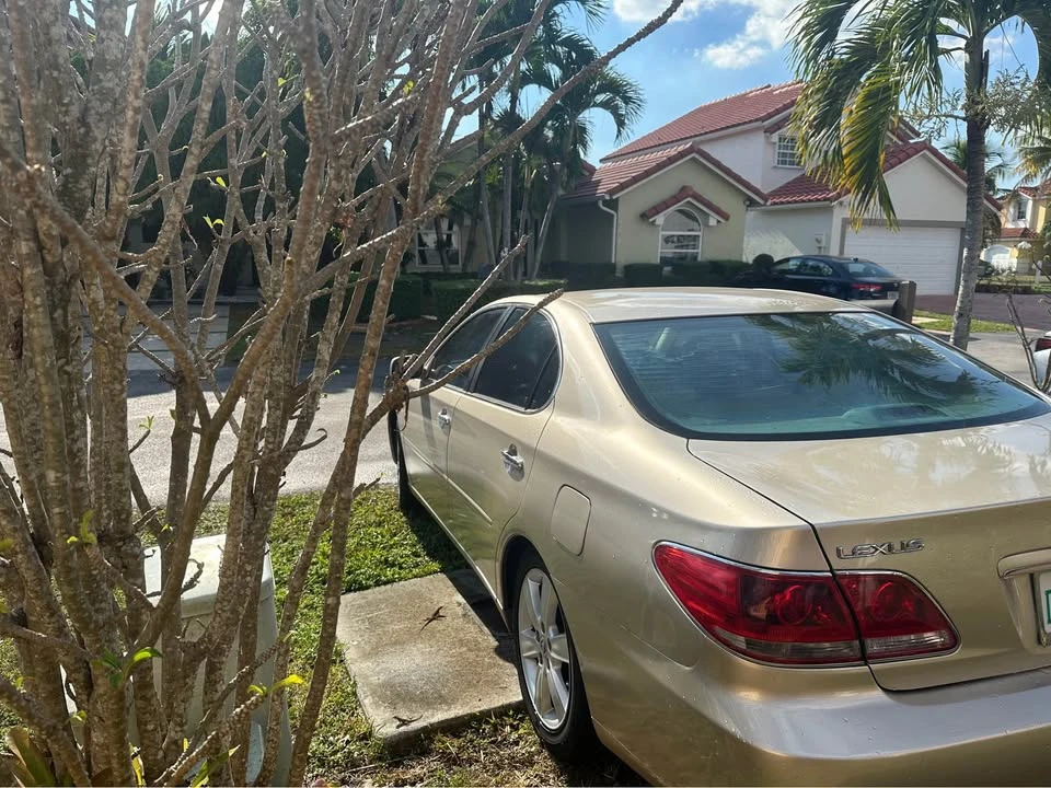2005 Lexus ES 4th Gen - Image 7 of 9