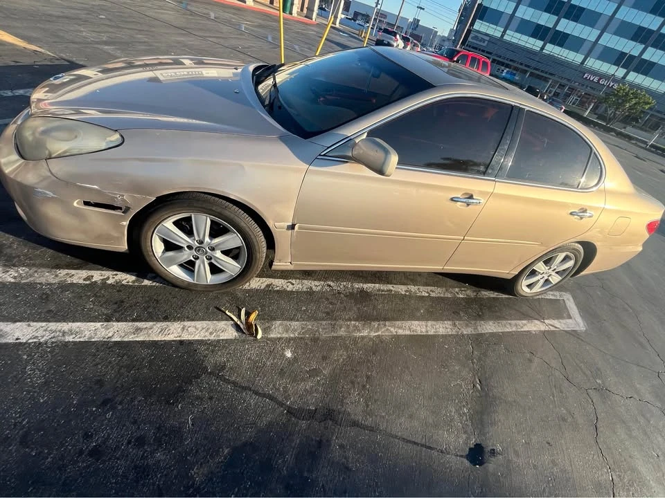 2005 Lexus ES 4th Gen - Image 4 of 9
