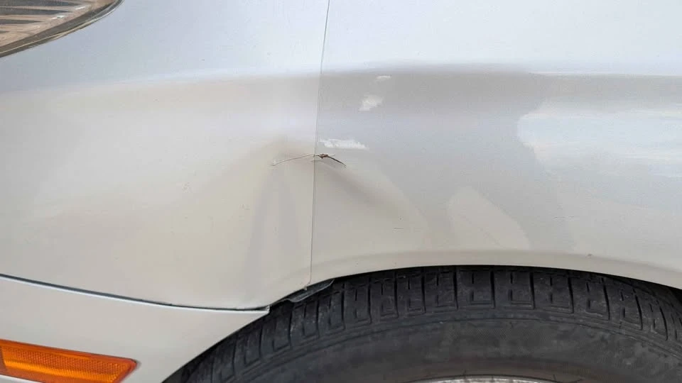 2005 Lexus ES 4th Gen - Image 8 of 9