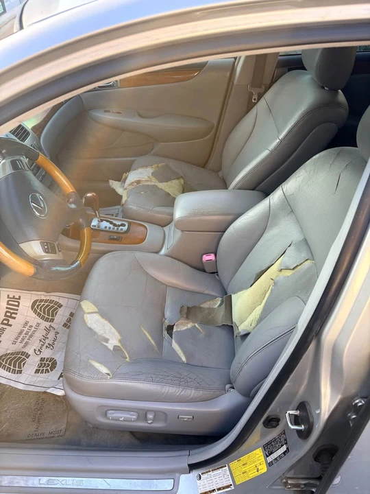 2005 Lexus ES 4th Gen - Image 15 of 15